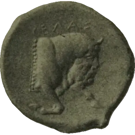 Coin A7 reverse