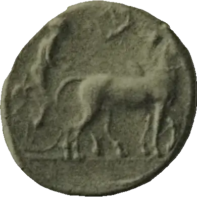 Coin B12 obverse