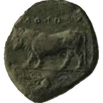 Coin N12 reverse