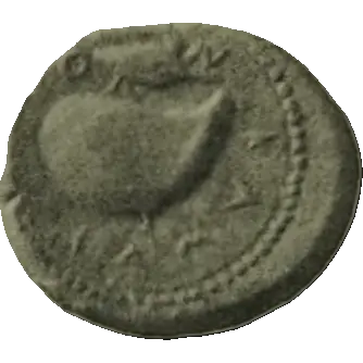 Coin N16 reverse