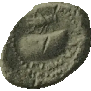 Coin N19 reverse