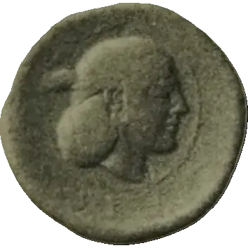 Coin N1 reverse