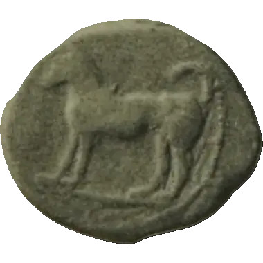 Coin N6 obverse