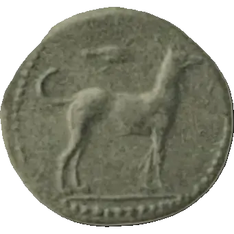 Coin N9 obverse