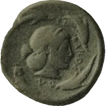 Coin 246 reverse