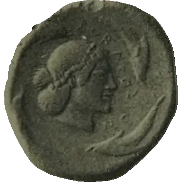 Coin 248 reverse