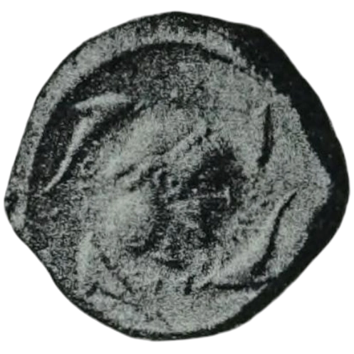 Coin 300E reverse