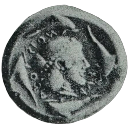 Coin 311E reverse