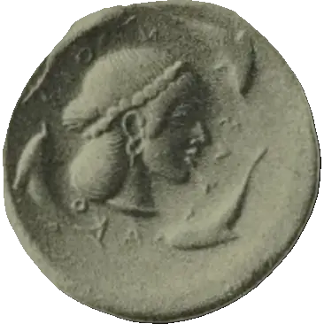 Coin 355 reverse