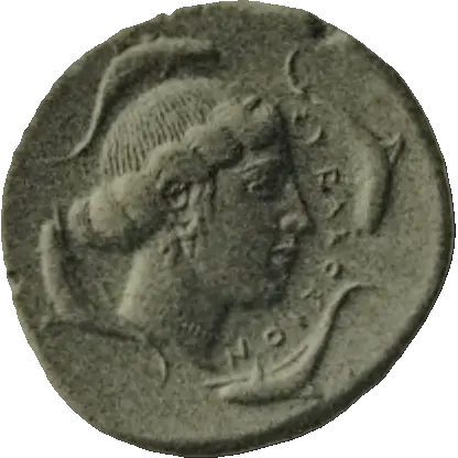 Coin 494 reverse