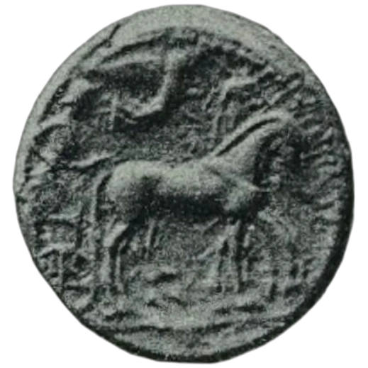 Coin 272 obverse