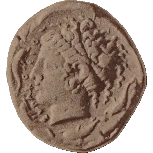 Tudeer 14 reverse