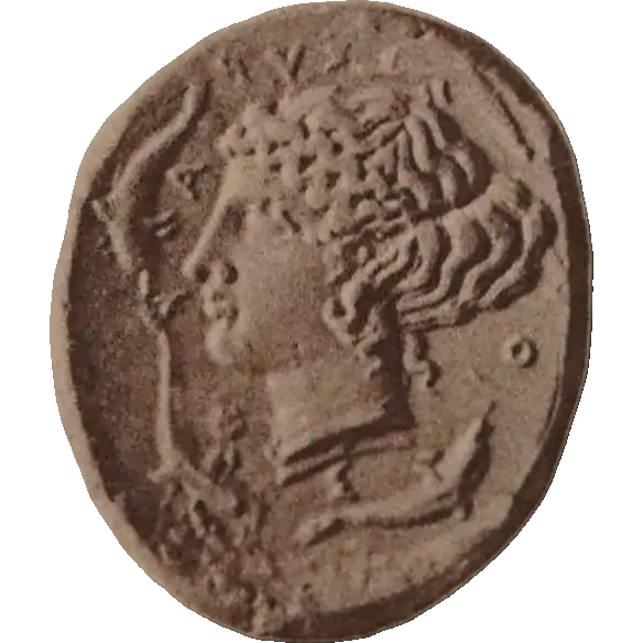 Tudeer 20 reverse