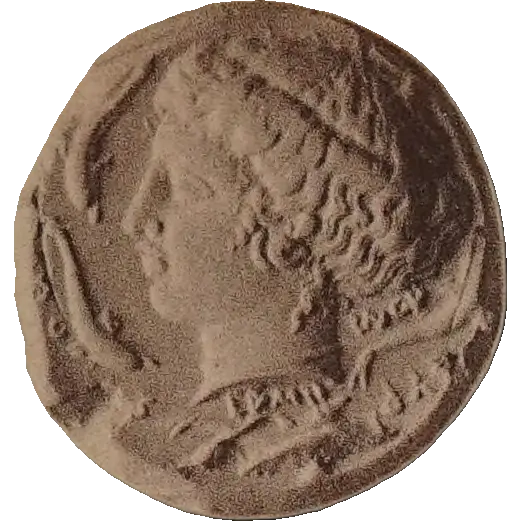 Tudeer 22 reverse