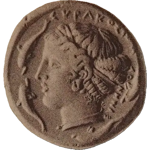 Tudeer 23 reverse