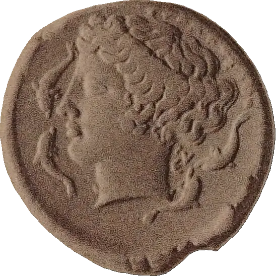 Tudeer 26 reverse