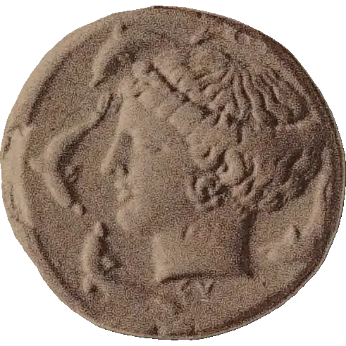 Tudeer 31 reverse