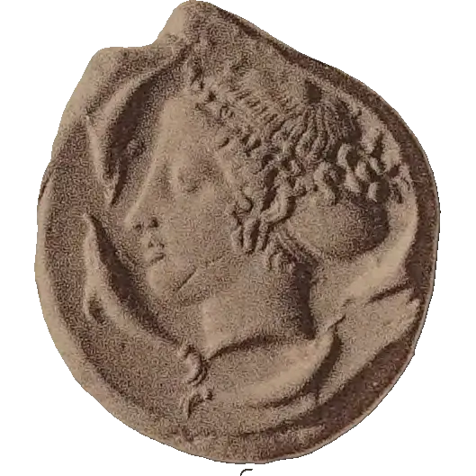 Tudeer 41 reverse