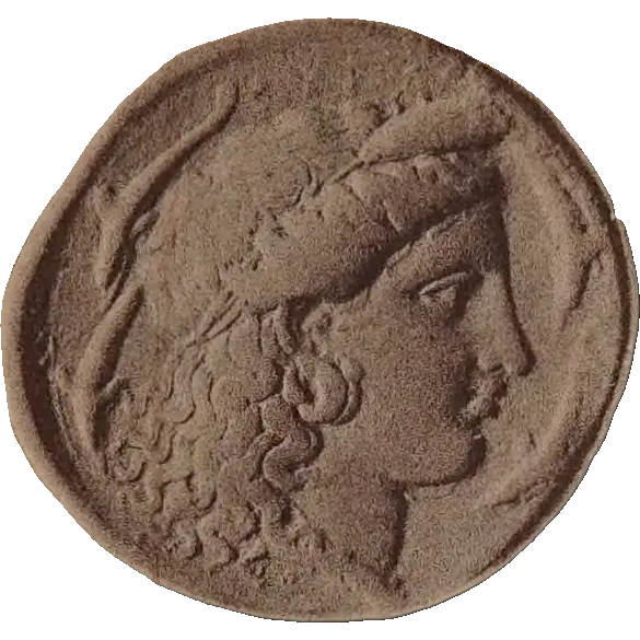 Tudeer 66 reverse
