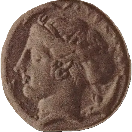 Tudeer 87 reverse