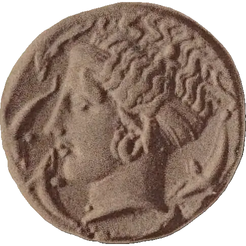 Tudeer 89 reverse