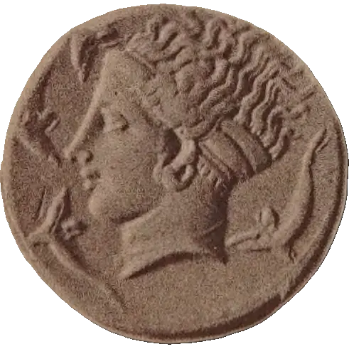 Tudeer 99 reverse