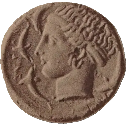 Tudeer 100 reverse