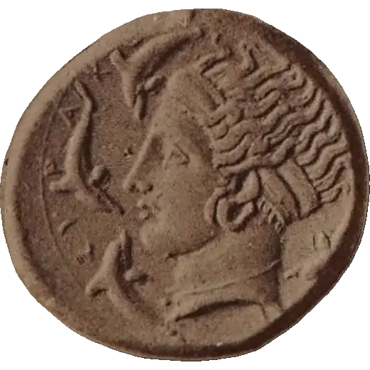 Tudeer 101 reverse