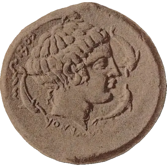 Tudeer 107 reverse