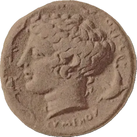 Tudeer 111 reverse