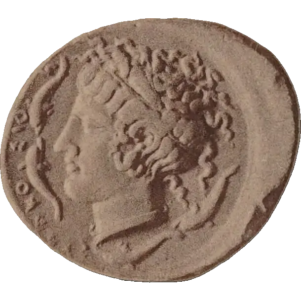Tudeer 11 reverse