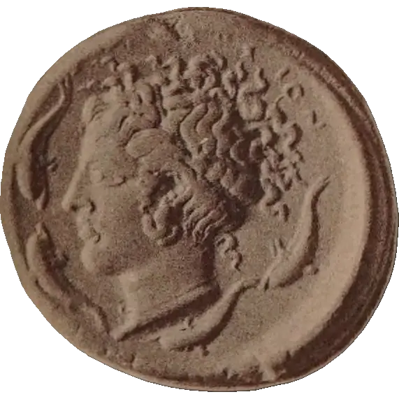 Tudeer 12 reverse