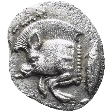 Forepart of boar left, E (retrograde) on shoulder, tunny fish behind