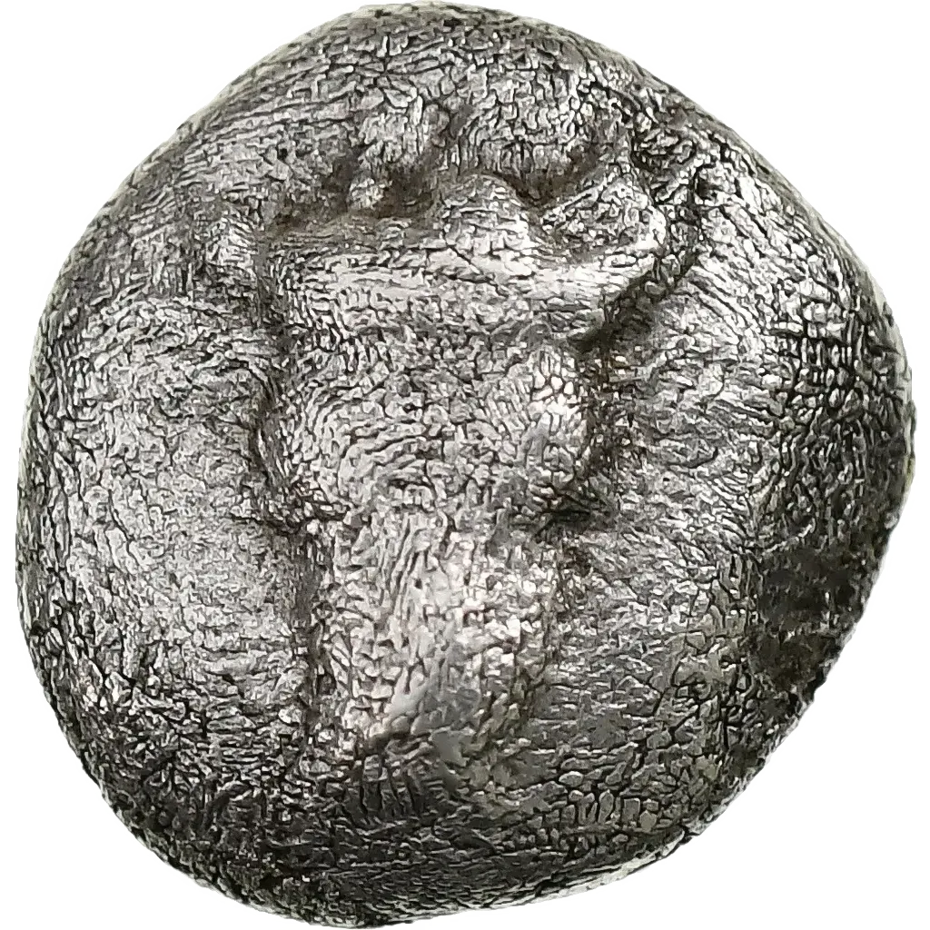 Facing bull's head