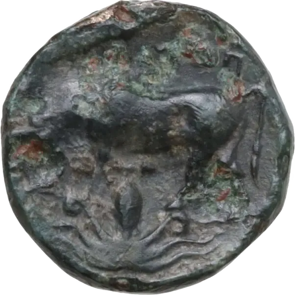 Bull standing left; octopus below