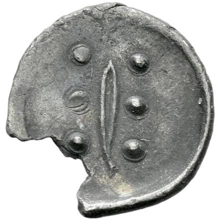Olive leaf between six pellets.