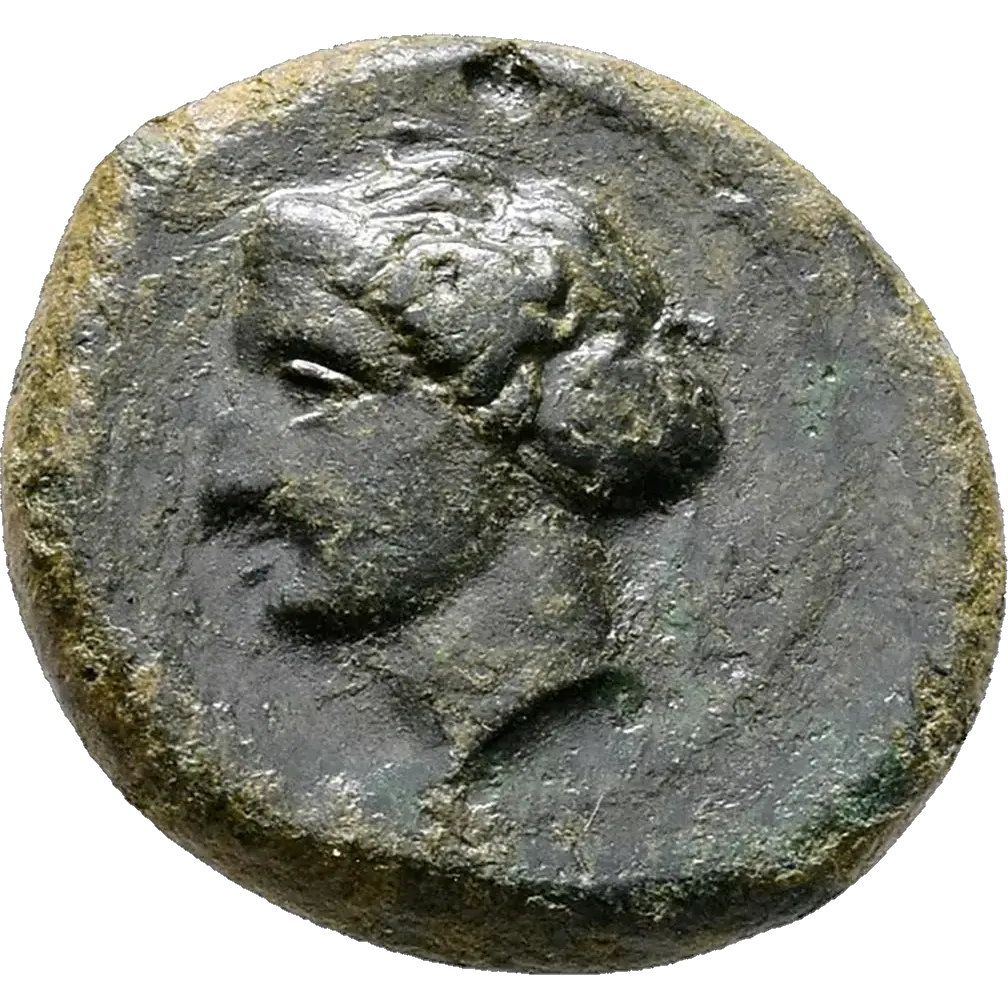 Head of nymph Arethusa left, wearing earring and necklace, hair bound in ampyx and sphendone, within circular line border.