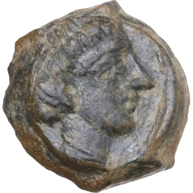 Head of Arethusa right, hair loosely gathered at the top of her head