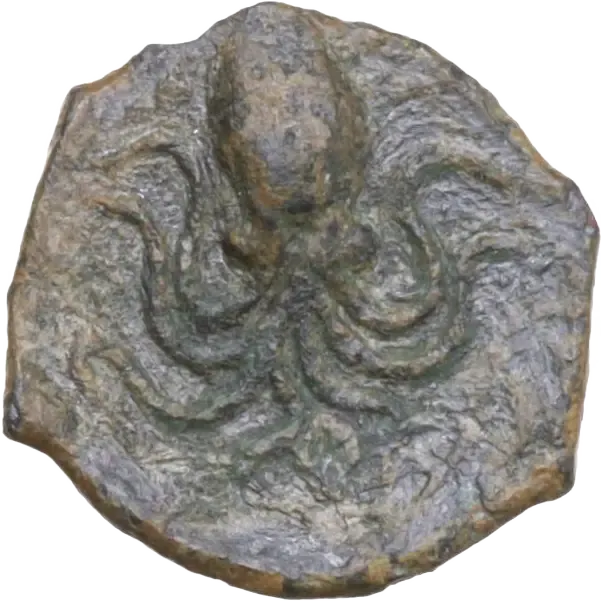Octopus