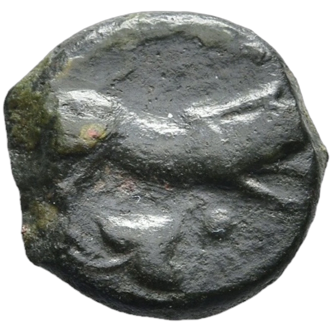Boar leaping right; ivy leaf and two pellets (mark of value) below.