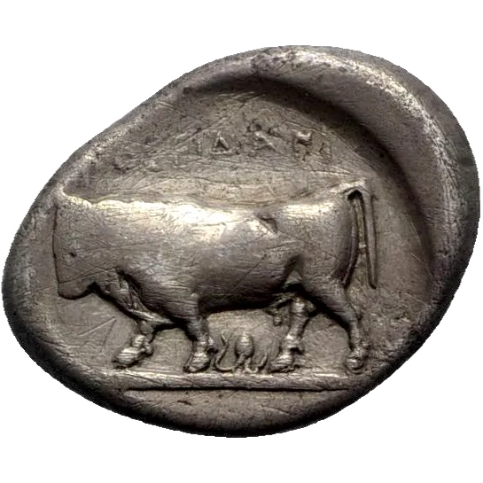 Bull standing left; octopus between legs; ΠOΣEIΔANI above;
