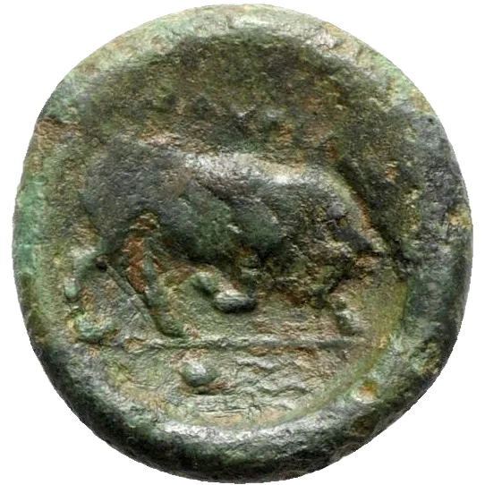 Bull butting right. In exergue, octopus facing left