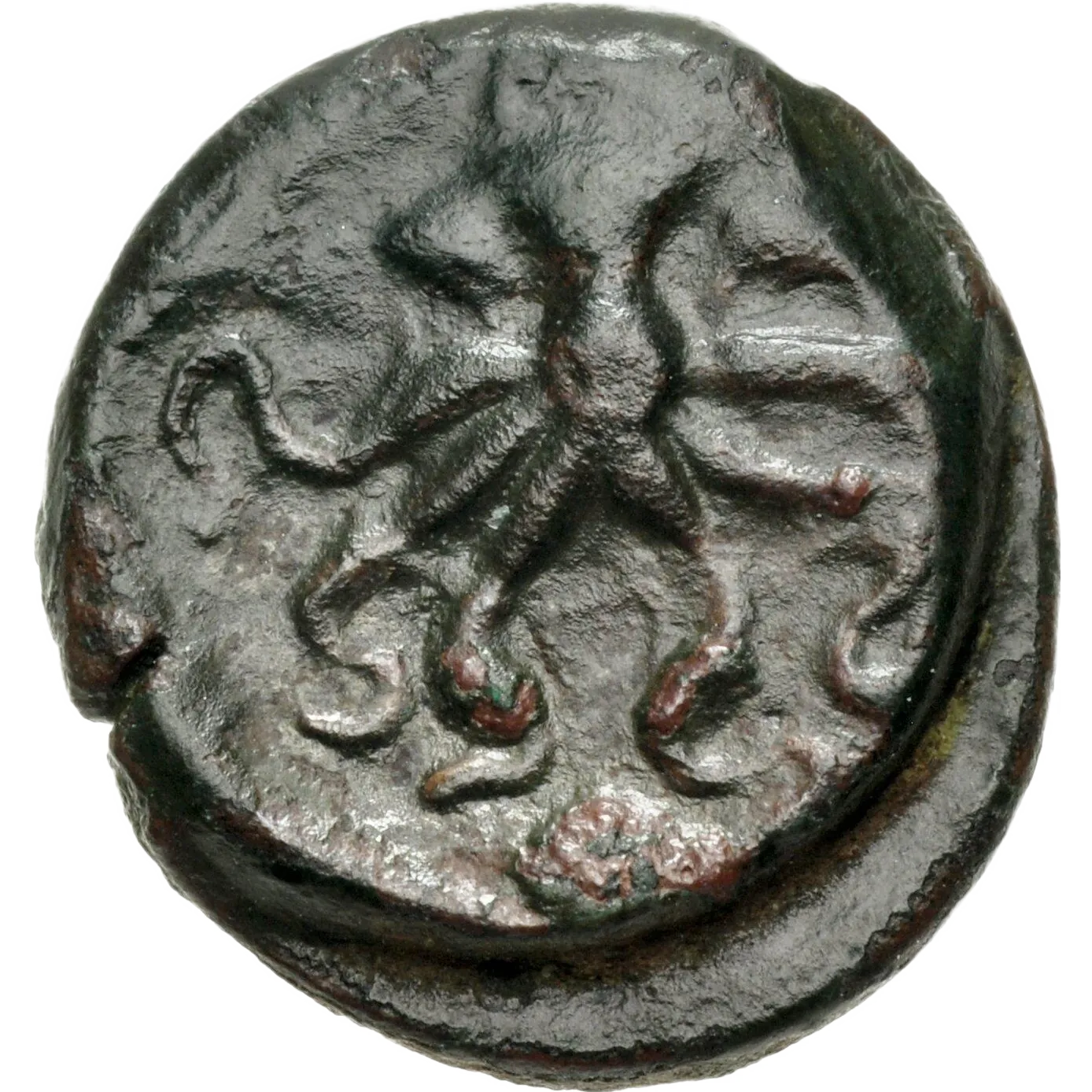 Octopus; three pellets indicating the value.