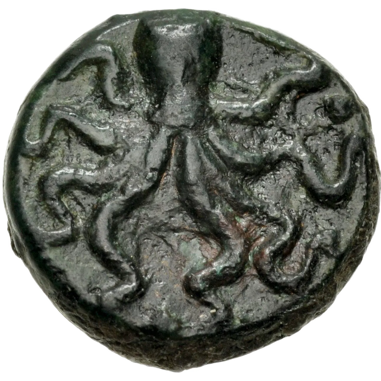 Octopus; three pellets indicating the value.
