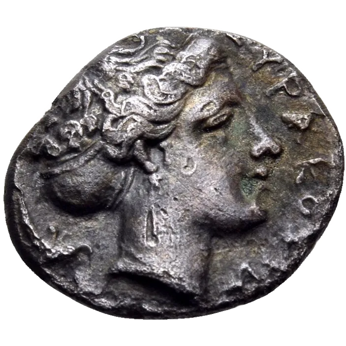 Head of Arethusa right, wearing simple pendant earring and with her hair in an ampyx; behind her head, dolphin swimming downwards to right.