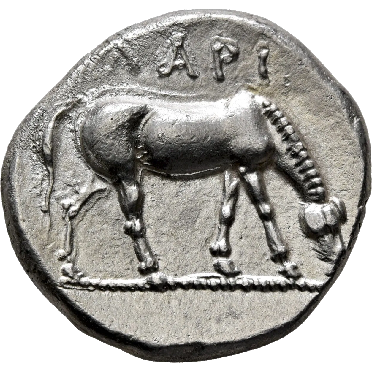 ΛΑΡΙ above, horse with straight legs feeding right on thin solid exergue line.
