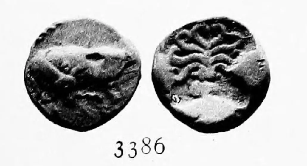 Additional Image 1