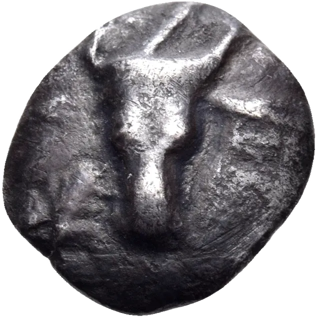 Facing bull's head