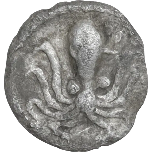 Octopus