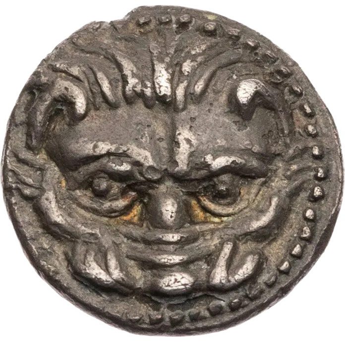 Facing scalp of lion